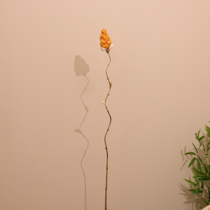 Сухоцвет на бамбуковом стебле 150 см оранжевый Сухоцвет на бамбуковом стебле 150 см оранжевый