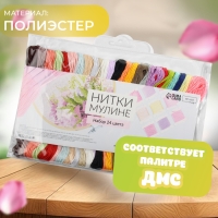 Набор ниток мулине, №3/4, 8 &plusmn; 1 м, 24 шт