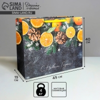 Пакет подарочный новогодний ламинированный &laquo;Мандарины&raquo;, XL 49 х 40 х 19 см, Новый год