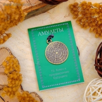 Амулет &laquo;Предсказатель&raquo; ключ к предвидению будущего , длина 68см