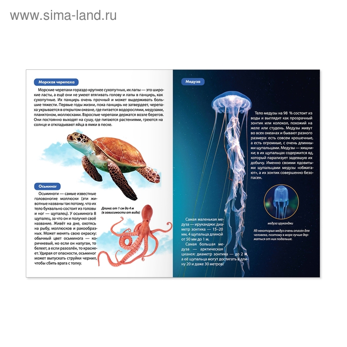 Мини-энциклопедии «Мир животных», набор 6 шт. по 20 стр. Мини-энциклопедии «Мир животных», набор 6 шт. по 20 стр.