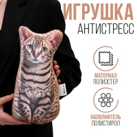 Антистресс-игрушка, кот &laquo;Бенгал&raquo;