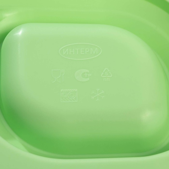 Блюдо для шашлыка с соусницей 30,3&times;21&times;2,5 см, цвет зеленый