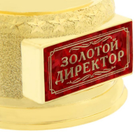 Кубок наградная фигура &laquo;Золотой директор&raquo;, оскар, пластик, 18 х 6,3 см.