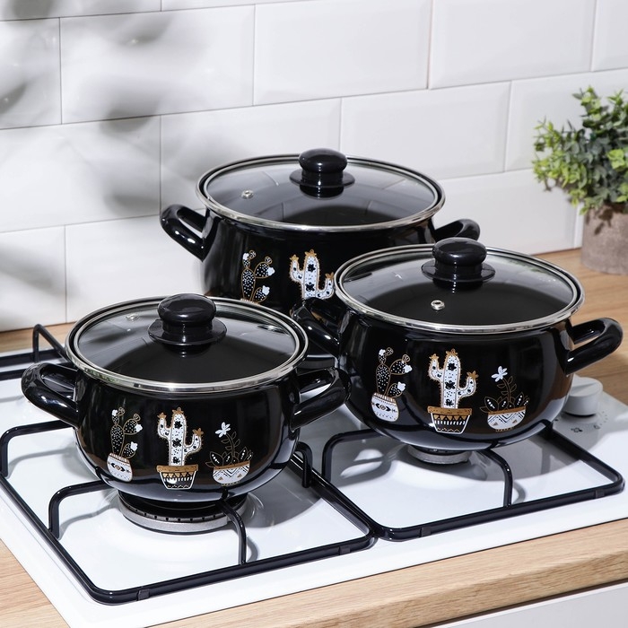 Набор кастрюль &laquo;Чёрные кактусы&raquo;, 3 предмета: 2,1 л, 3,1 л, 4 л, индукция