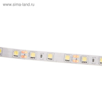 Светодиодная лента Ecola PRO 5 м, IP20, SMD5050, 60 LED/м, 14.4 Вт/м, 12 В, 6000К