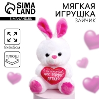 Мягкая игрушка «Ты покорила моё сердце», заяц, цвета МИКС Мягкая игрушка «Ты покорила моё сердце», заяц, цвета МИКС