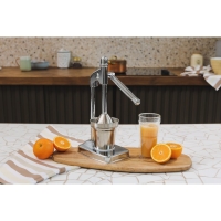 Соковыжималка механическая Доляна Fruits, 20&times;14,5&times;37 см