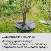 Круг приствольный, d = 1 м, плотность 60 г/м&sup2;, спанбонд с УФ-стабилизатором, набор 2 шт., чёрный, Greengo, Эконом 20%