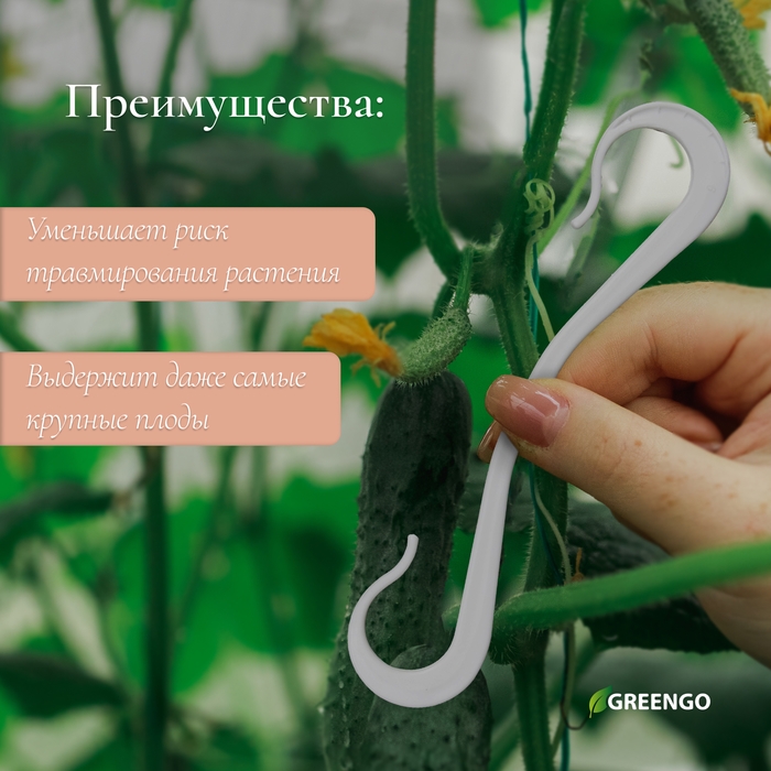 Кистедержатель &laquo;Крючок&raquo;, 12 см, набор 30 шт., Greengo