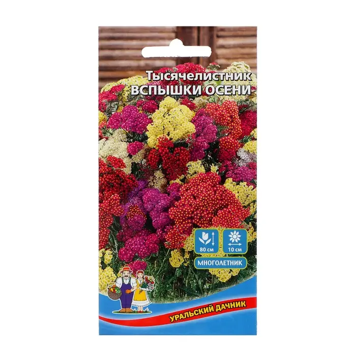 Семена Цветов Тысячелистник "Вспышки осени", 0,1 г,