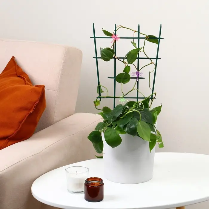 Шпалера, 48 &times; 29 &times; 0.2 см, пластик, зелёная, Greengo