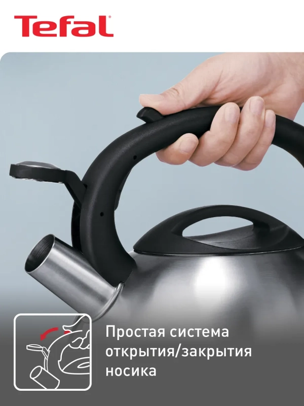 Чайник для плиты C7921024 из нержавеющей стали, со свистком