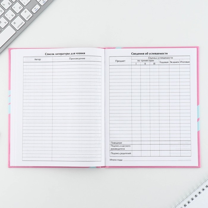 Дневник школьный 1-11 класс универсальный &laquo;1 сентября:Далматинец&raquo;, твердая обложка 7БЦ, глянцевая ламинация, 40 листов