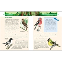 Детская энциклопедия &laquo;Живая природа&raquo;