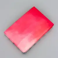 Коробка для печенья, &laquo;Тюльпаны&raquo;, 22&times;15&times;3 см