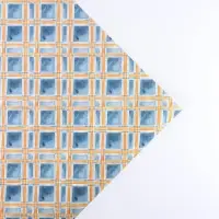 Бумага упаковочная двухсторонняя крафтовая &laquo;Джентельмен&raquo;, 70 х 100 см