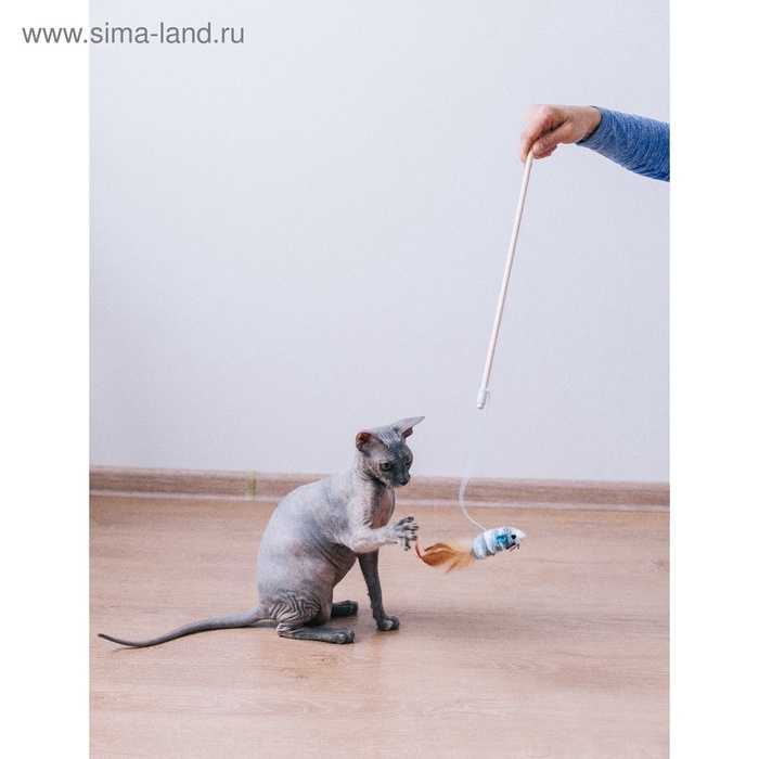 Дразнилка с махровой мышкой (7 см) на деревянной палочке, 40 см, микс цветов