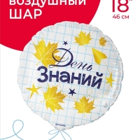 Воздушный шар фольгированный 18" &laquo;День знаний&raquo;, круг, инд. уп.