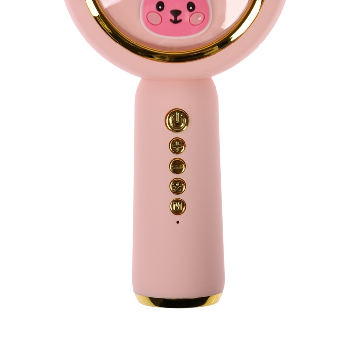 Портативный караоке микрофон, 5 Вт, 1200 мАч, LED, розово-золотистый