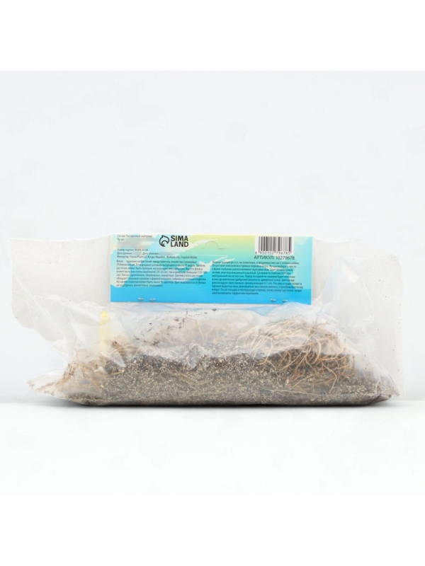 Флокс &laquo;Наташа&raquo; корневище в пакете с торфогрунтом, р-р I, 2 шт.