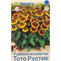 Семена цветов Рудбекия Тото Рустик карликовая  (драже в пробирке) Спецсерия Benary, Ц/П,7 шт. 109458