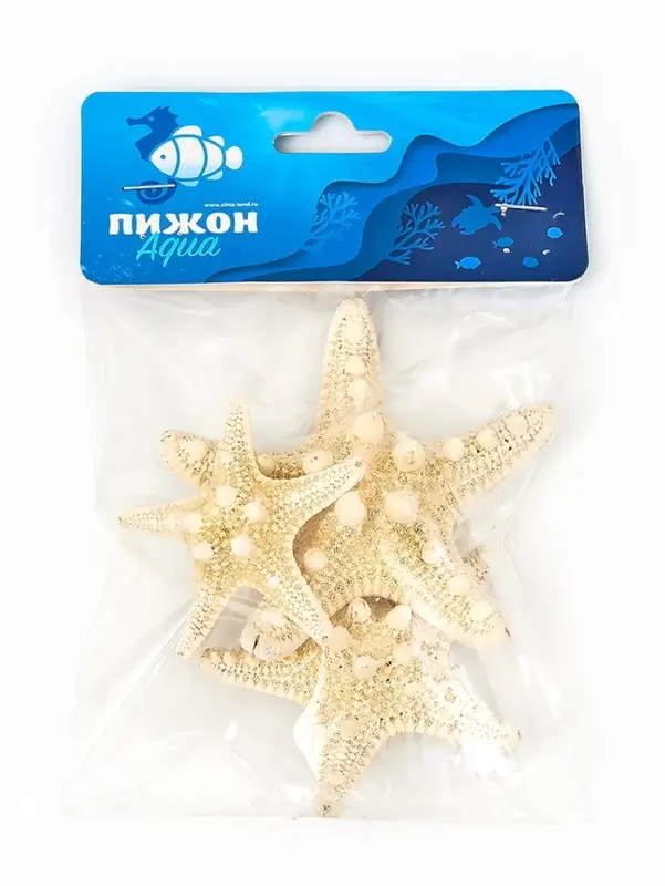 Набор из 3 морских звезд, размер 5-7 см, 7-10  см, 10-12 см, белые