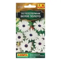 Семена Цветов Остеоспермум "Белое золото" , 10 шт