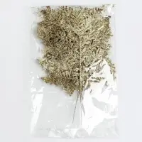 Ветка декоративная новогодняя &laquo;Изумление&raquo;, в золотом цвете, 0,3 &times; 12 &times; 28 см