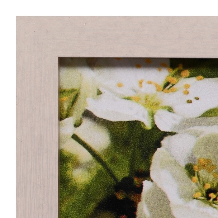 Картина Картина "Два Лебедя" 66х106см рамка МИКС