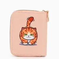 Кошелек дет 07-01-01 Июнь2543 кот, 8,52,510,5 см, 2 отд+отд/молн, д/карт, оранжевый