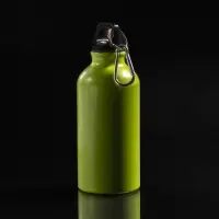 Бутылка для воды Funrun 400, зеленое яблоко