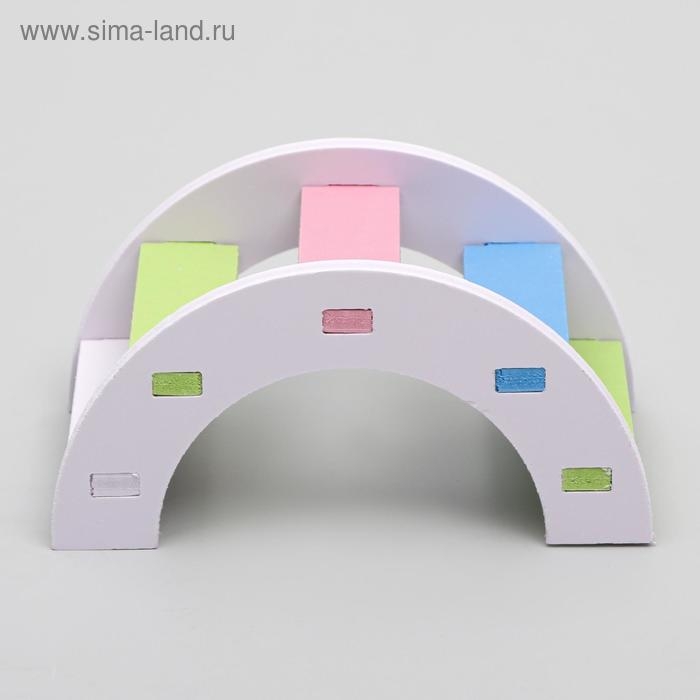 Лесенка для грызунов полукруглая, микс цветов Лесенка для грызунов полукруглая, микс цветов
