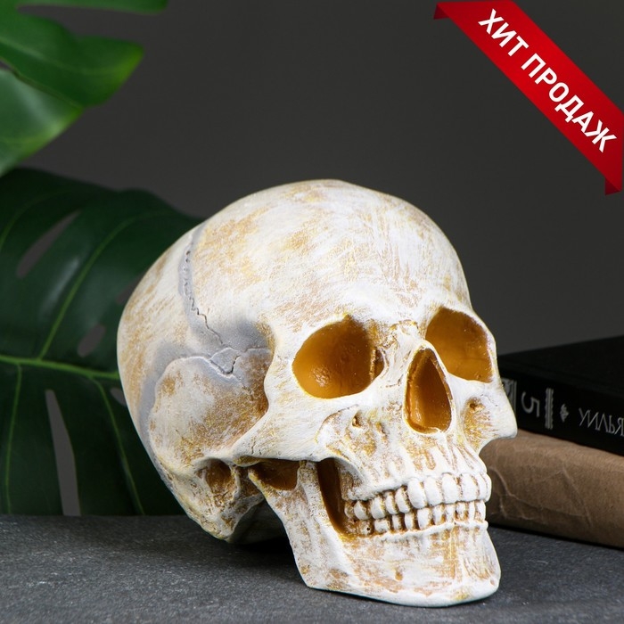 Копилка Копилка "Череп" кость, 16х13х22см