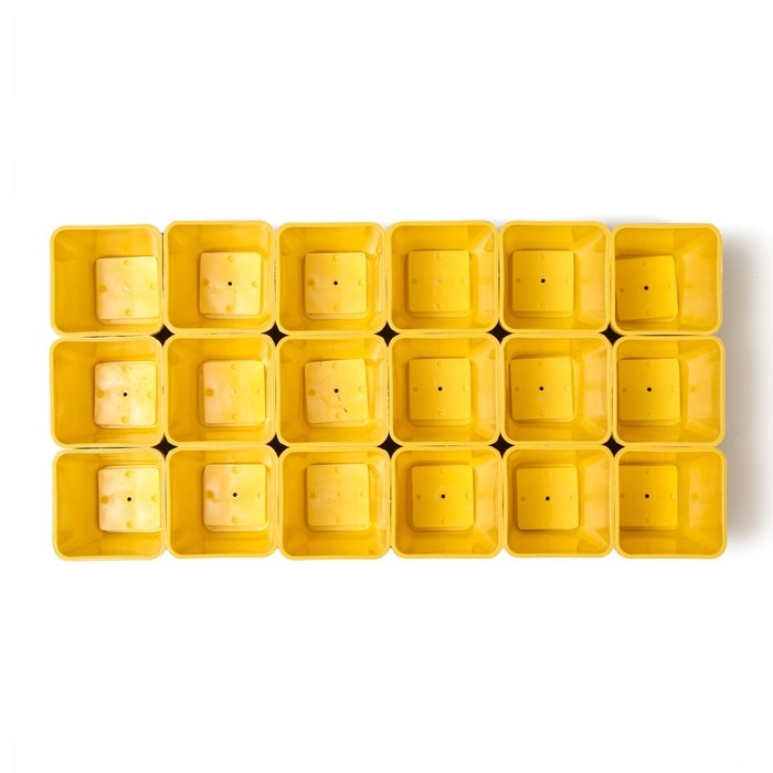 Набор для рассады: стаканы по 200 мл (18 шт.), поддон 36,5 &times; 17 см, цвет МИКС, Greengo