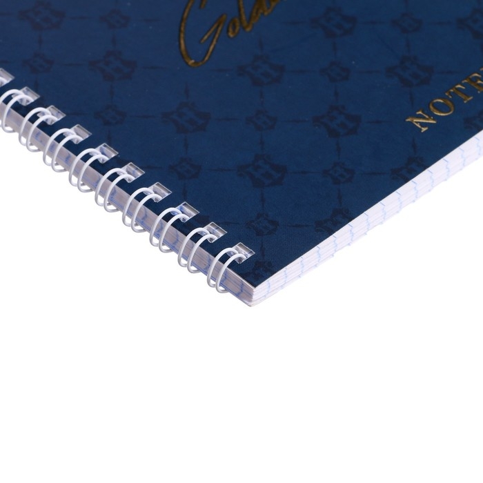 Тетрадь 48 листов в клетку на гребне Тетрадь 48 листов в клетку на гребне "Гарри Поттер", обложка мелованный картон, матовая ламинация, 3D фольга, блок офсет, 4 вида МИКС