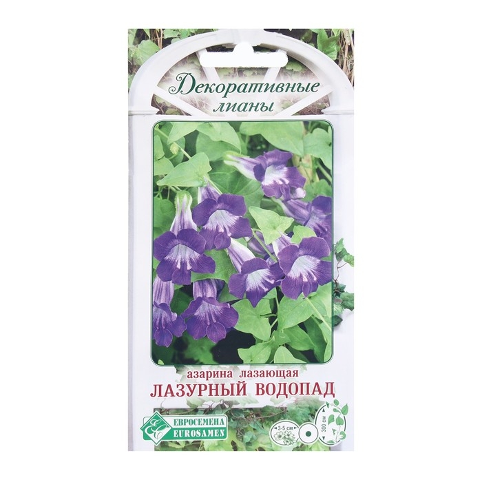 Семена Цветов Азарина лазающая Лазурный Водопад, 5 шт Семена Цветов Азарина лазающая Лазурный Водопад, 5 шт
