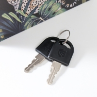 Сейф-книга дерево кожзам "Звери в тропиках" 21х13х5 см Сейф-книга дерево кожзам "Звери в тропиках" 21х13х5 см