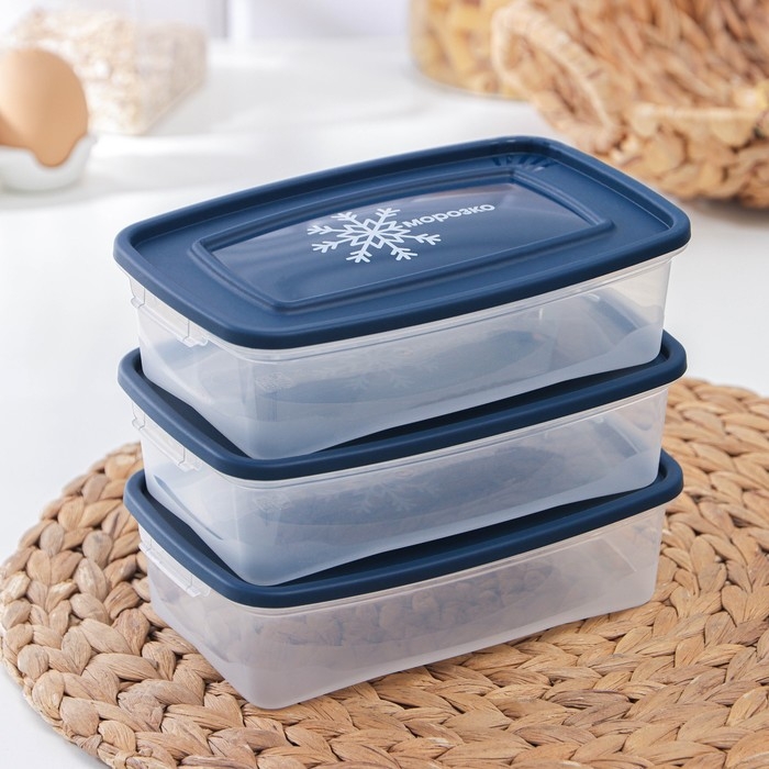 Набор контейнеров для замораживания продуктов &laquo;Морозко&raquo;, 3 шт, 700 мл, цвет прозрачный, крышки МИКС