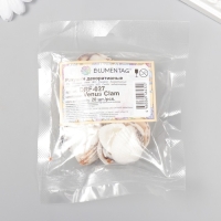 Декоративные ракушки "Venus Clam" 20 шт