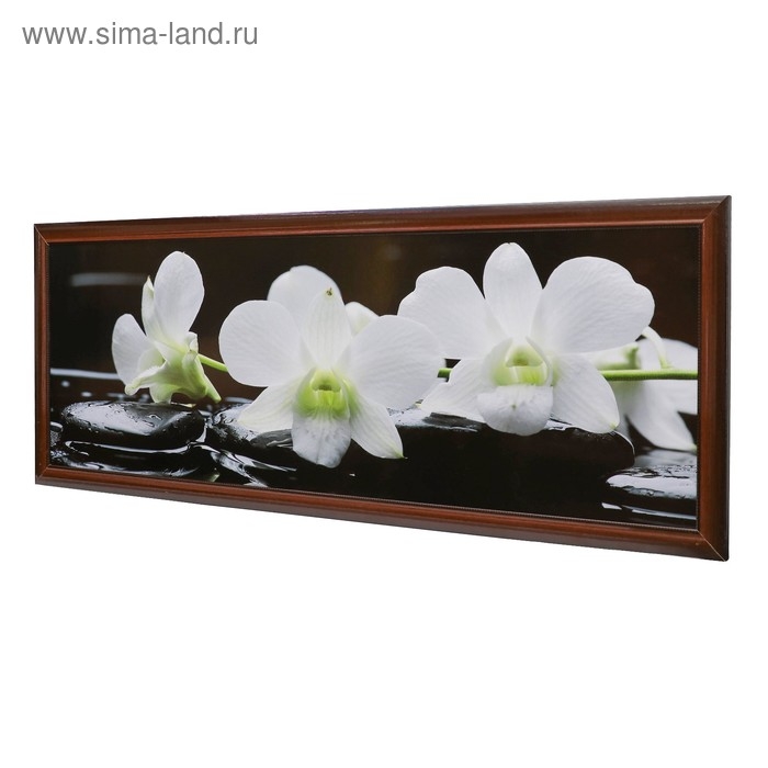 Картина "Орхидея на камнях" 47*127 см