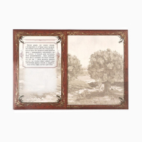 Родословная книга в шкатулке &laquo;Древо семьи&raquo;, 56 листов, 20 х 26 см.