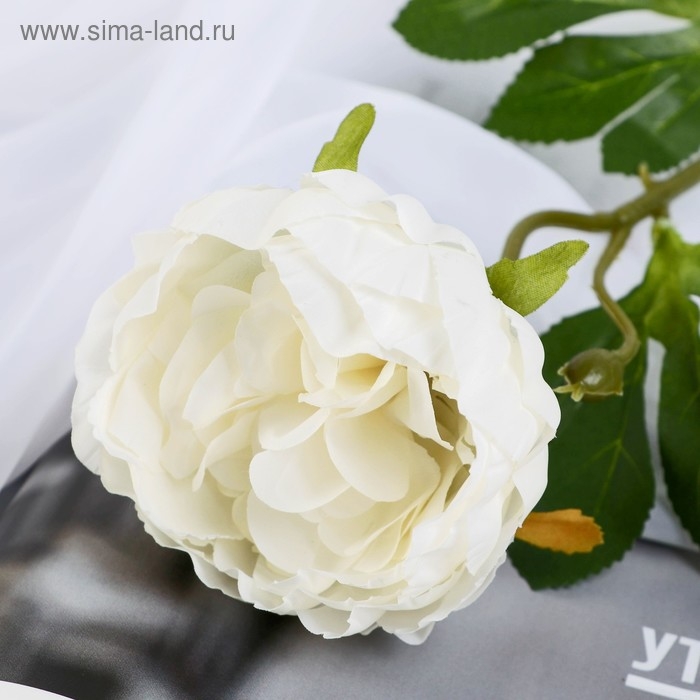 Цветы искусственные Цветы искусственные "Пышный пион" 7х47 см, белый