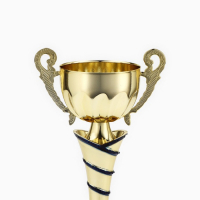 Кубок 139C, наградная фигура, золото, подставка пластик, 29.5&times;13&times;7.5 см