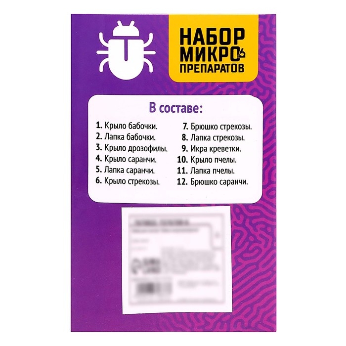 Набор для опытов «Набор микропрепаратов», насекомые Набор для опытов «Набор микропрепаратов», насекомые