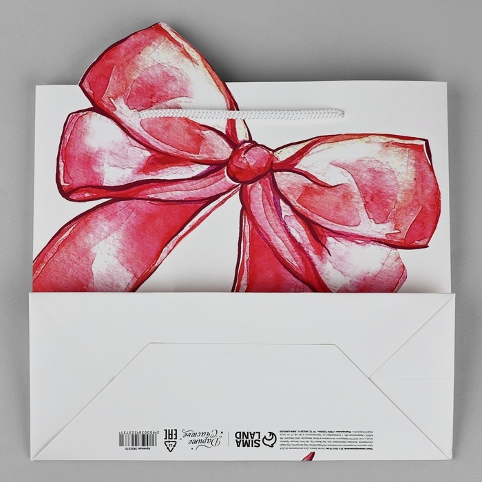 Пакет подарочный, упаковка, &laquo;Подарок&raquo;, 25 х 26 х 10 см