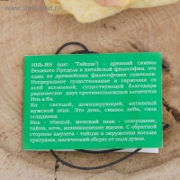 Амулет из ювелирной бронзы &laquo;Инь-Ян&raquo; символ жизни, 68 см (придающий энергетическое равновесие)