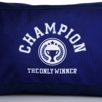 Сумка детская спортивная для мальчика &laquo;Чемпион&raquo;, 40х24х21, отд на молнии, синий