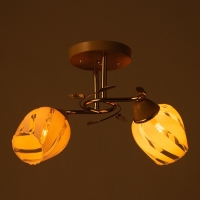 Люстра "Лепестки" 2x40Вт E27 золото 44х33х28 см Люстра "Лепестки" 2x40Вт E27 золото 44х33х28 см