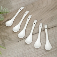 Набор фарфоровых ложек Доляна &laquo;Эстет&raquo;, 6 предметов, 11&times;2,6&times;1 см, цвет белый